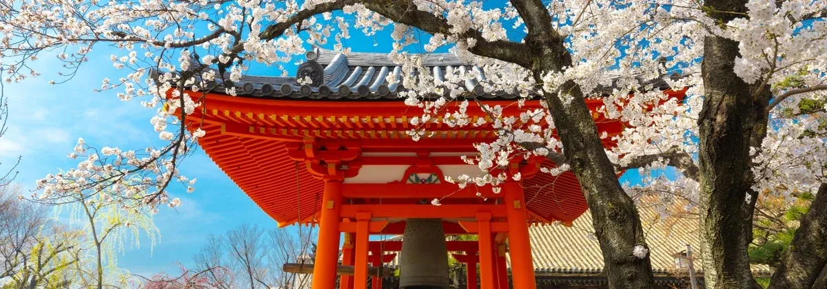 Japonya Vize İstiyor mu?