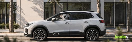 Citroen Sigorta Fiyatları