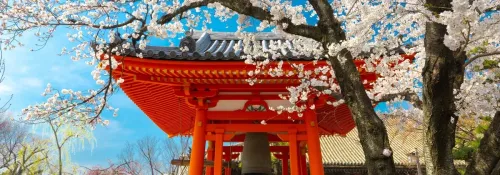 Japonya Vize İstiyor mu?