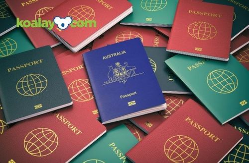 Pasaport Türleri Nelerdir?