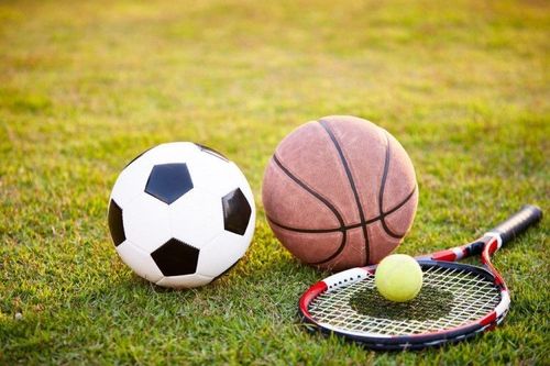 Spor Dalları ve En Popüler Sporlar