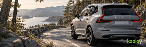 Volvo Sigorta Fiyatları