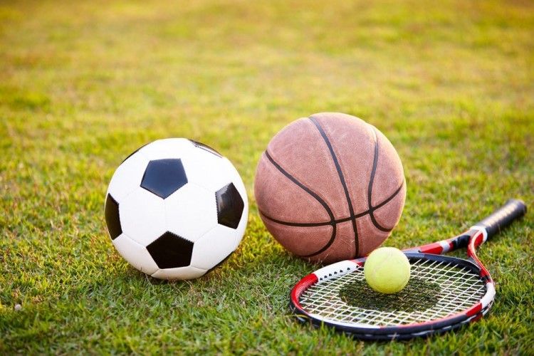 Spor Dalları ve En Popüler Sporlar